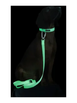 PAIKKA Glow Leash^ Kaulapannat Ja Talutushihnat