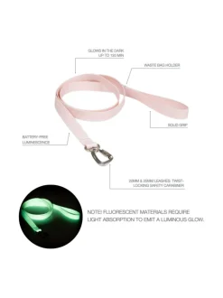 Kaulapannat Ja Talutushihnat<PAIKKA Glow Leash Pale Pink