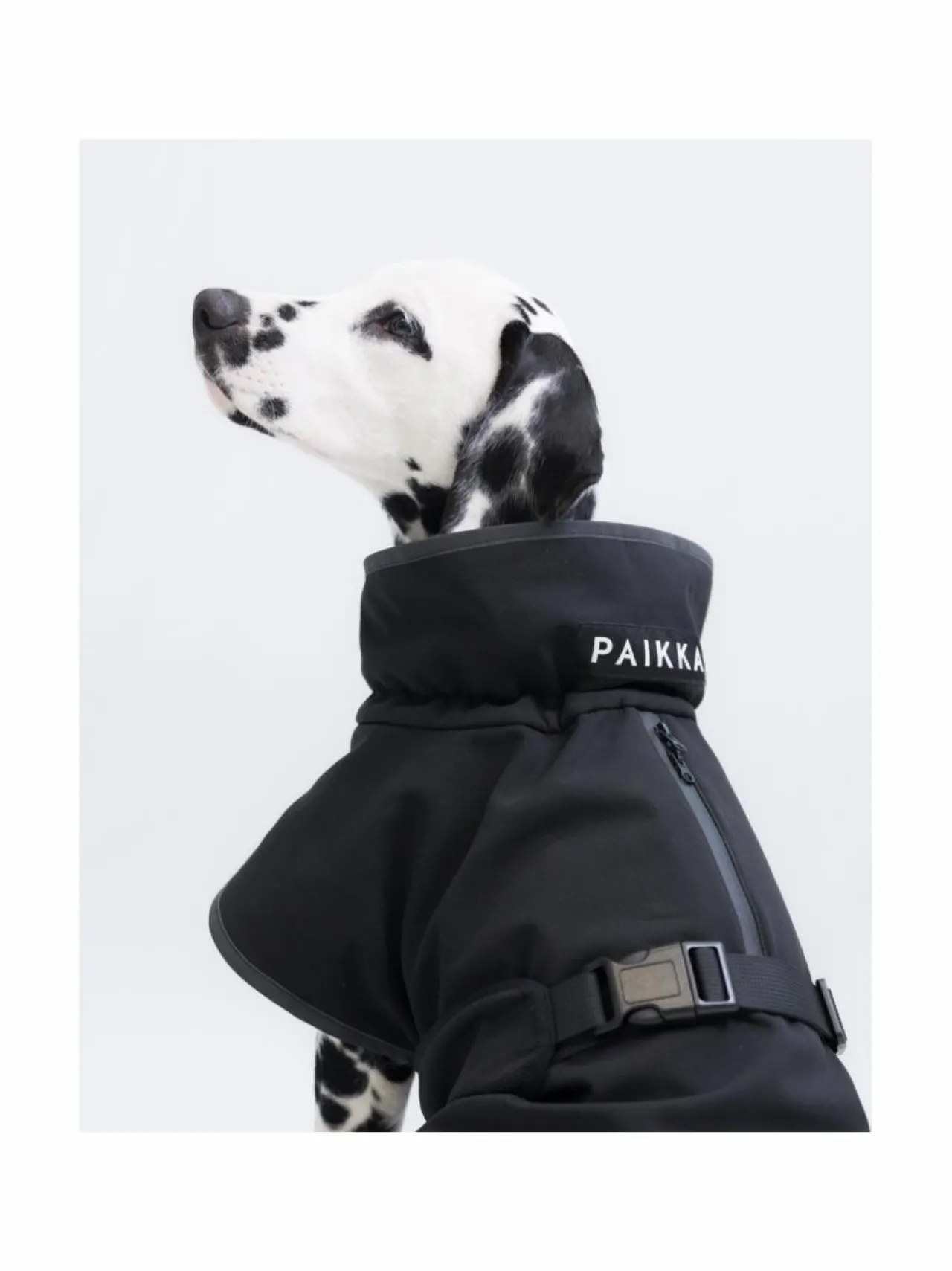 PAIKKA Recovery Softshell Jacket^ Koiran Vaatteet