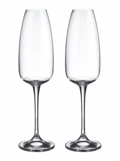 Lasit<Balmuir Piemonte-kuohuviinilasi 290 ml, 2 kpl