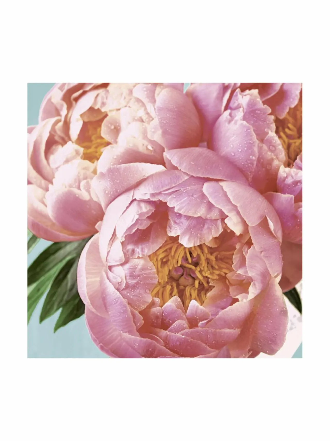Keittiö- & Kattaustekstiilit<Paper+Design Peony -servetit 24 cm, 20 kpl PINK