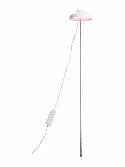 Lamput<Airam Plant Light Iris -kasvivalaisin 5W/835 240 lm WHITE