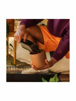 Fiskars Potting & Planting -multakauha^ Työkalut