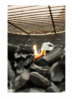 Big Green Egg Pure Charcoal -grillihiili, 9 kg^ Grillit & Grillitarvikkeet