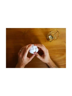RECENT TOYS Pulmapeli Morph’s Egg^ Pelit