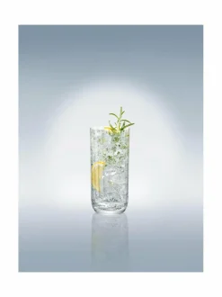 Lasit<Villeroy & Boch Rose Garden Long Drink -juomalasi 4 kpl TRANSPARENT