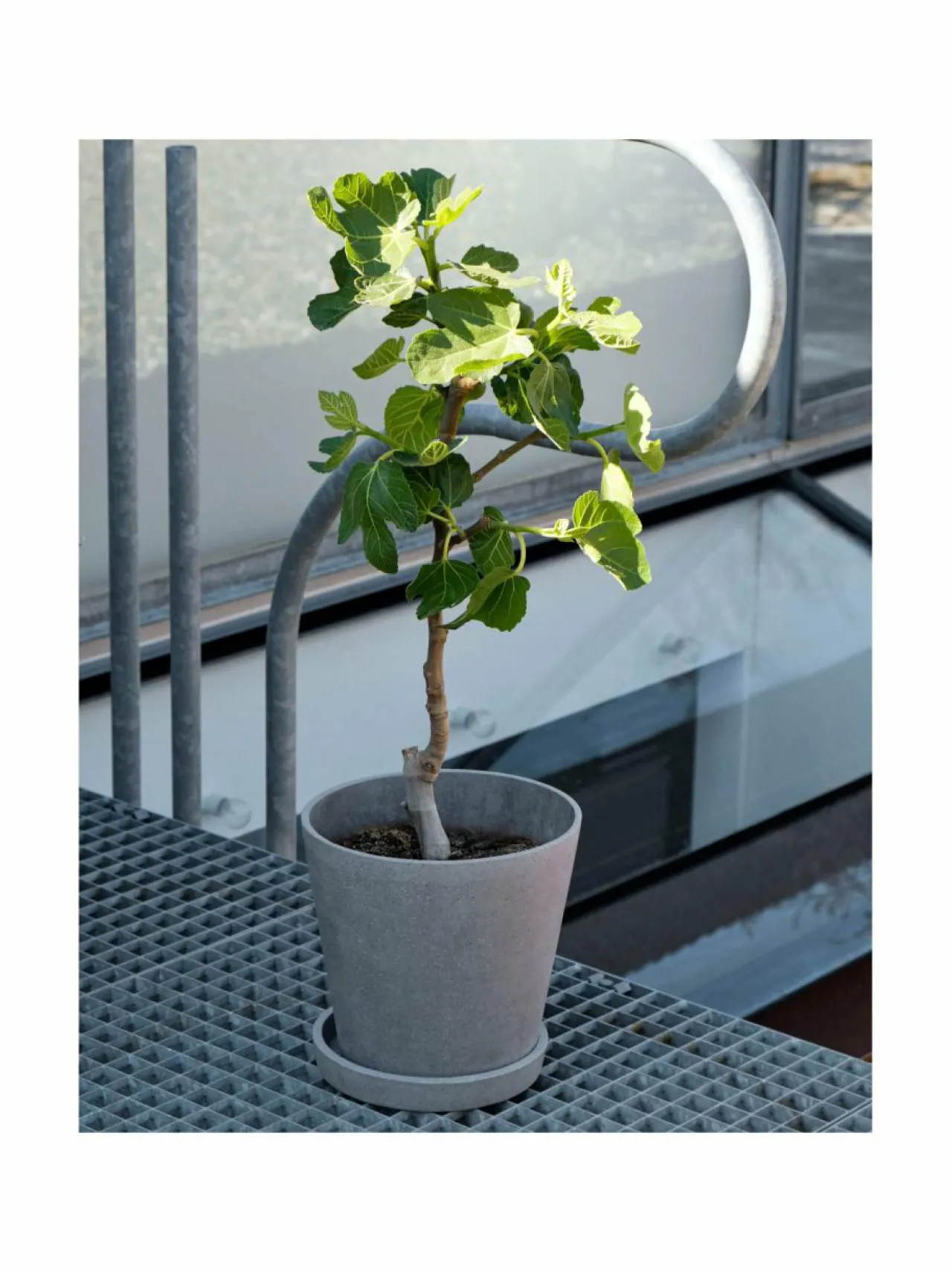 Ruukut & Istutusastiat<HAY Ruukku ja aluslautanen ø 14 cm HARMAA