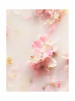 Rituals Sakura Foaming Shower Gel -vaahtoava suihkugeeli 200 ml^ Vartalonhoito