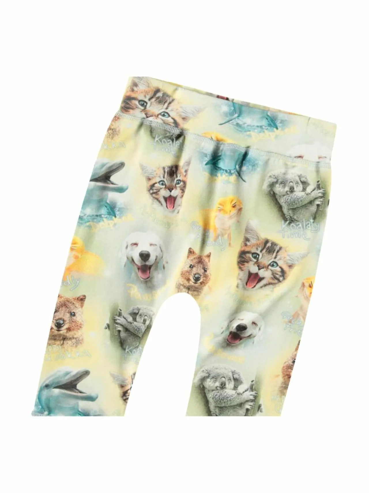 Molo Sammy Soft -housut^ Collegehousut & Leggingsit|Collegehousut & Leggingsit