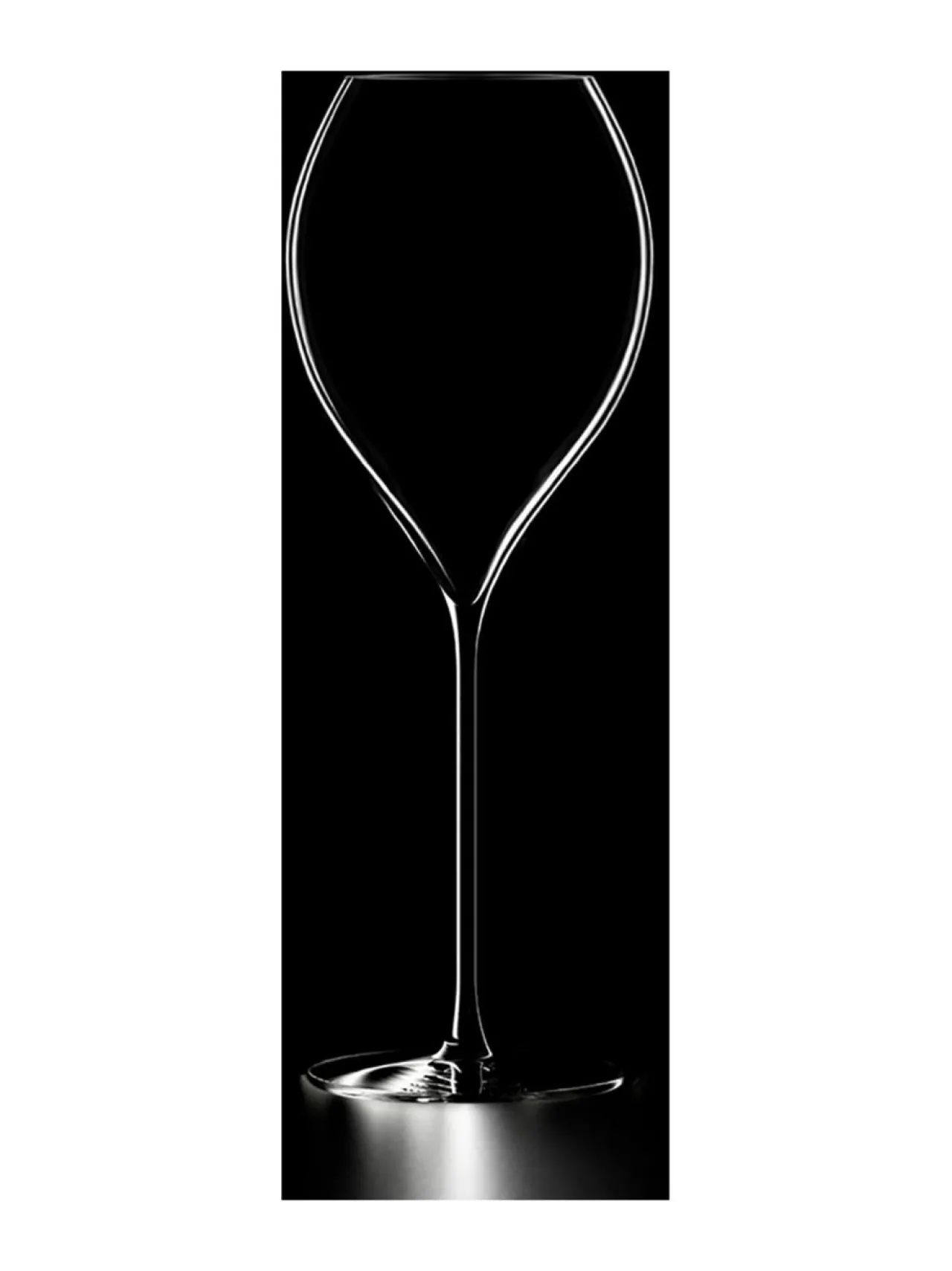 Lehmann Glass Samppanjalasi Grand Champagne 40cl (6 kpl)^ Lasit
