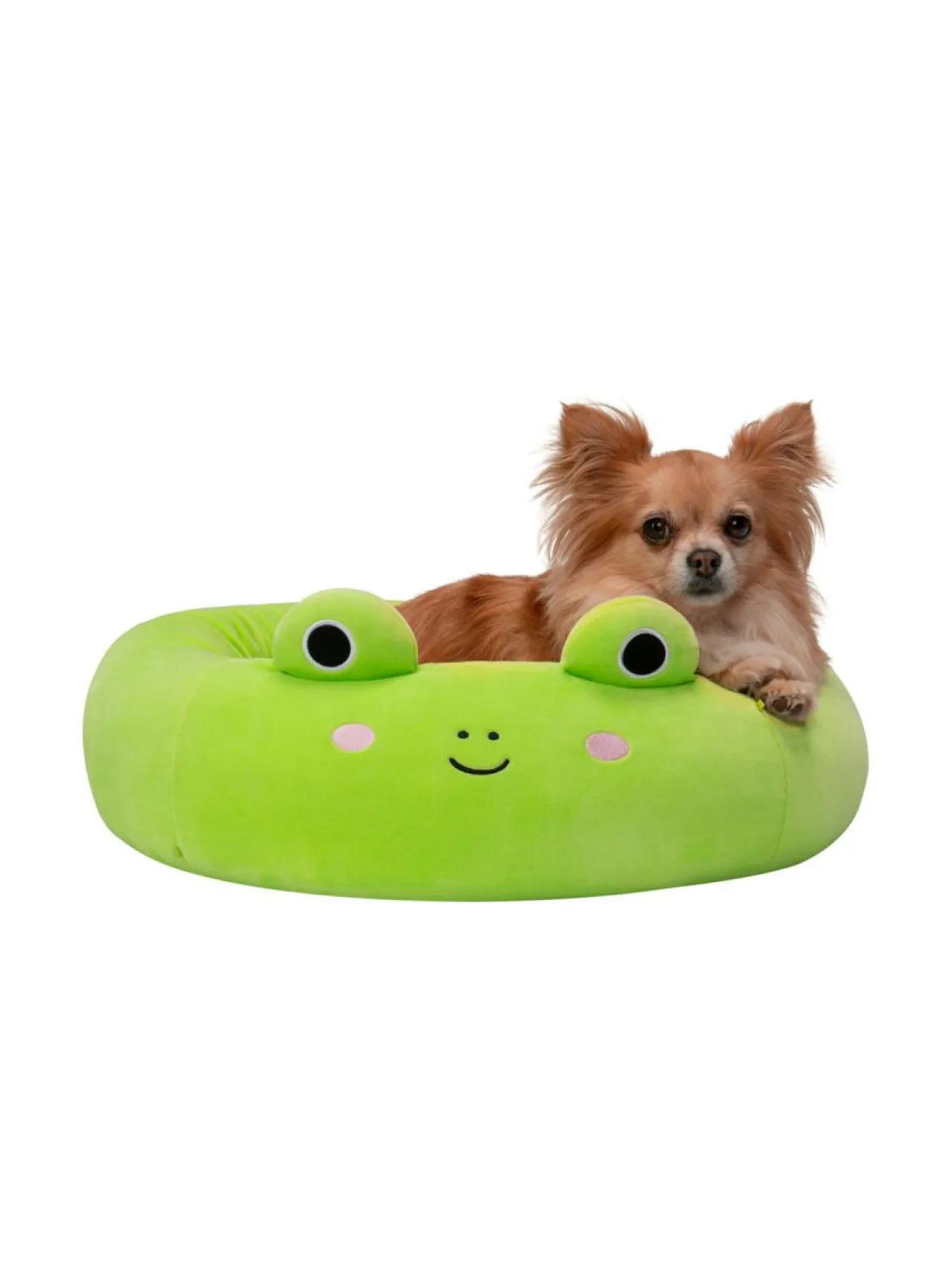 SQUISHMALLOWS Lemmikin peti Wendy-sammakko, 50 cm^ Pehmolelut