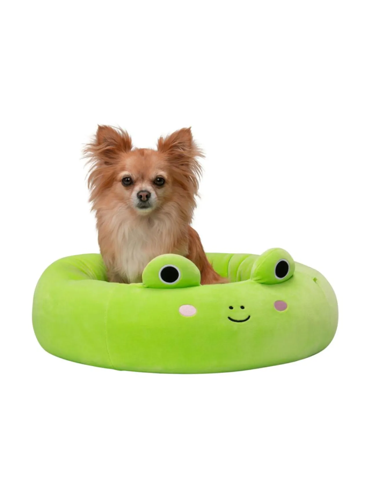 SQUISHMALLOWS Lemmikin peti Wendy-sammakko, 50 cm^ Pehmolelut