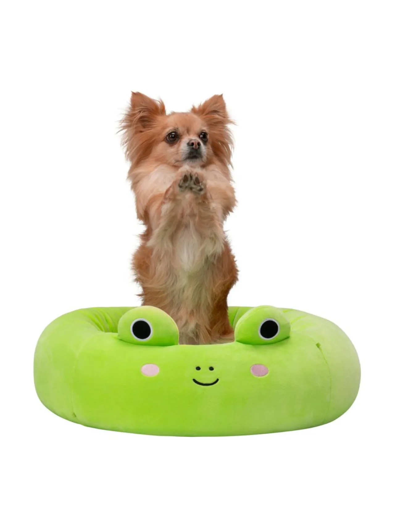 SQUISHMALLOWS Lemmikin peti Wendy-sammakko, 50 cm^ Pehmolelut