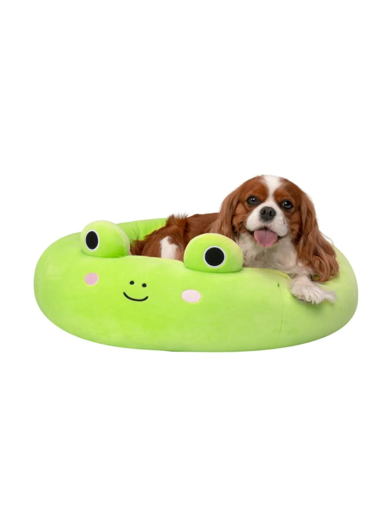 Pehmolelut<SQUISHMALLOWS Lemmikin peti Wendy-sammakko, 60 cm