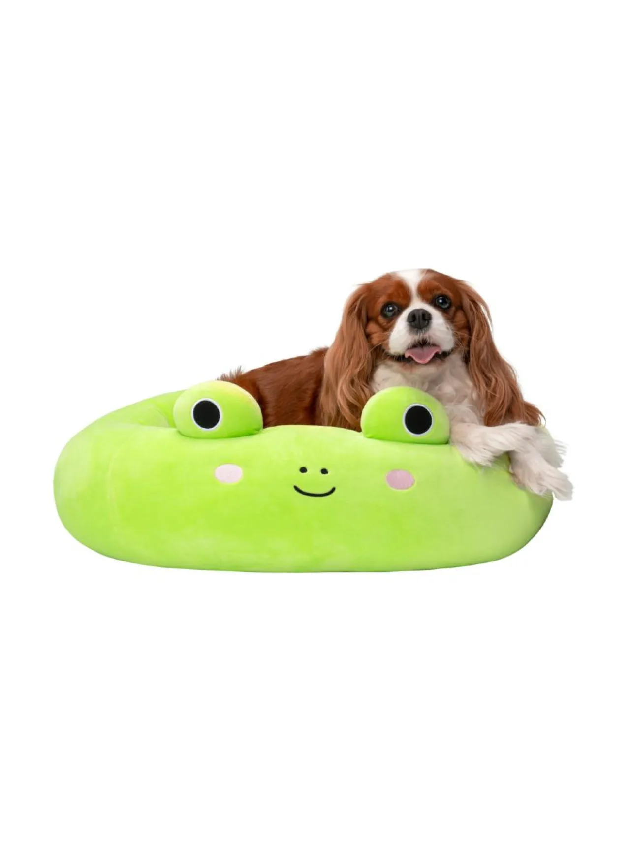 Pehmolelut<SQUISHMALLOWS Lemmikin peti Wendy-sammakko, 60 cm