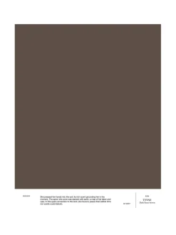 Cover Story Sävymalli AR4 TYYNE - dark linen brown^ Maalit