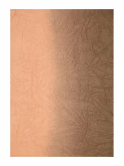 A+more Tamie-silkkihuivi 100 x 180 cm^ Huivit & Kaulaliinat