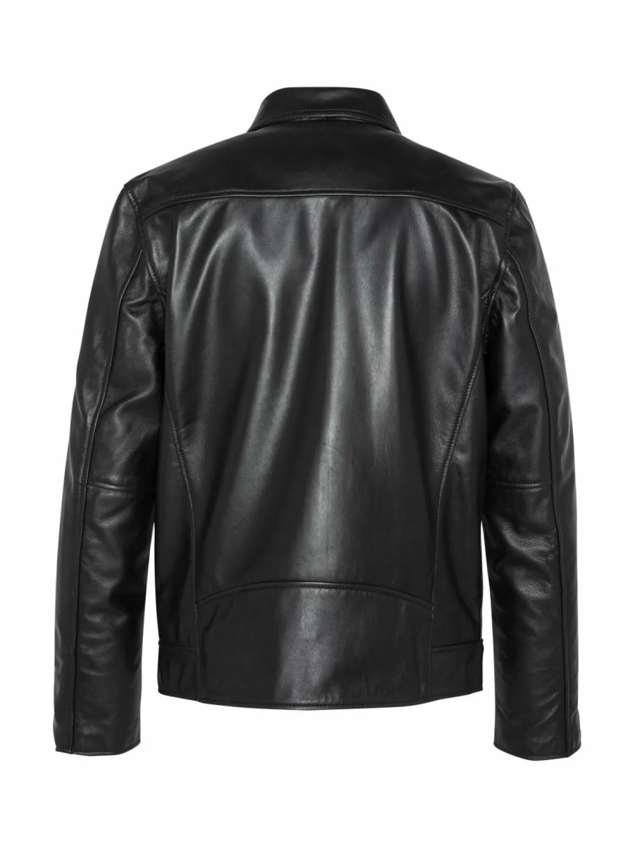 Takit<Schott Tampa-nahkatakki BLACK