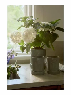 Huovat & Päiväpeitot<Lexington Terrakotta-kasviruukku EUCALYPTUS