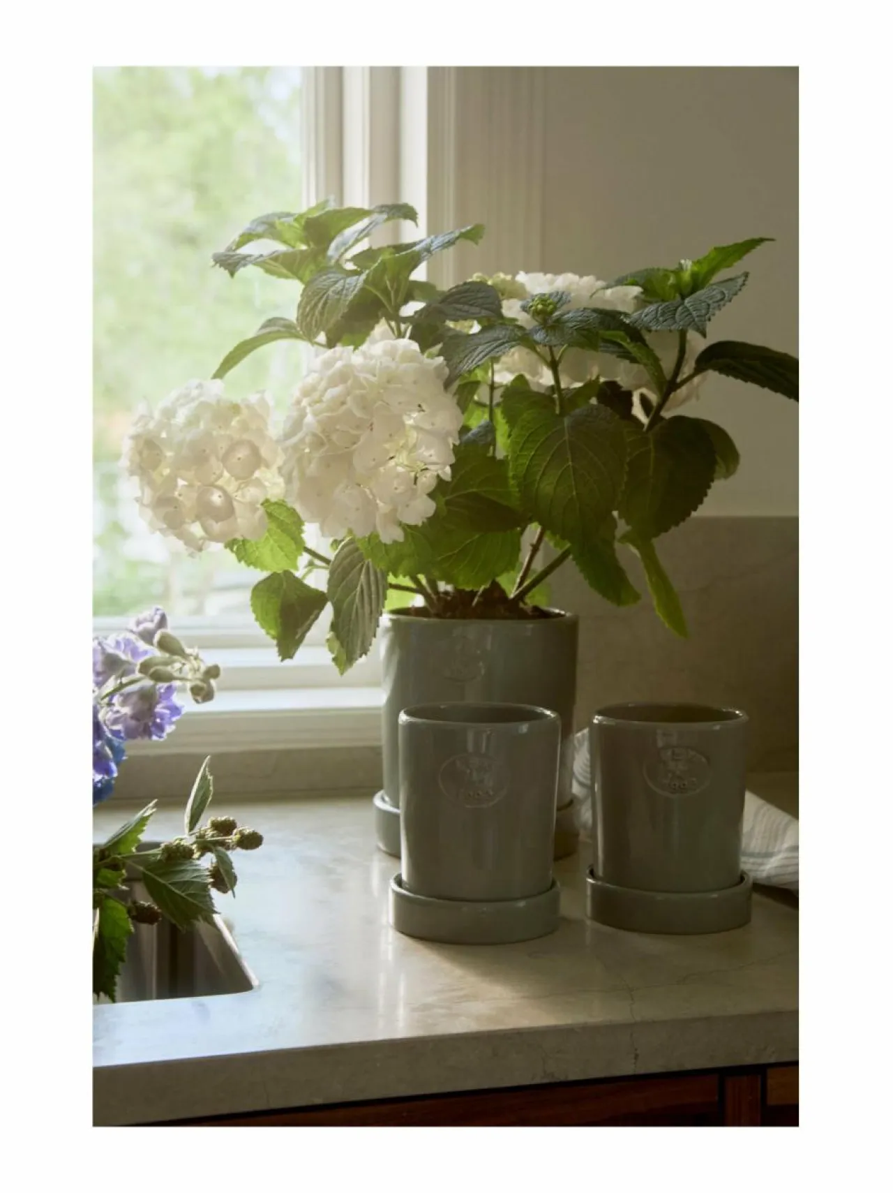 Huovat & Päiväpeitot<Lexington Terrakotta-kasviruukku EUCALYPTUS