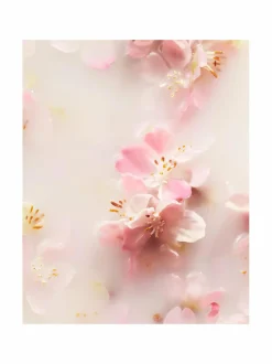 Rituals The Ritual of Sakura Medium Gift Set -ihonhoitopakkaus^ Ihonhoitopakkaukset
