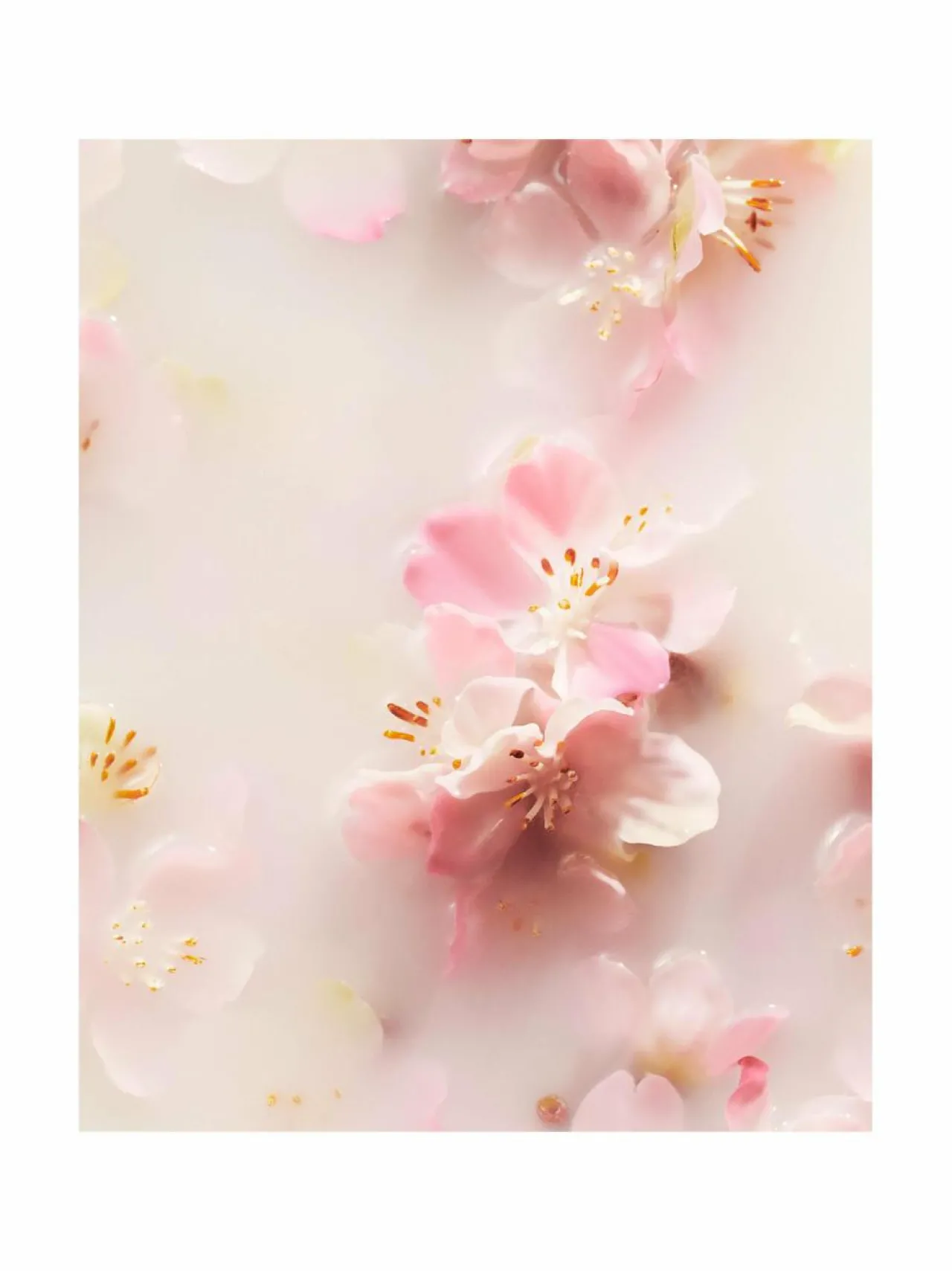 Ihonhoitopakkaukset<Rituals The Ritual of Sakura Small Gift Set -ihonhoitopakkaus