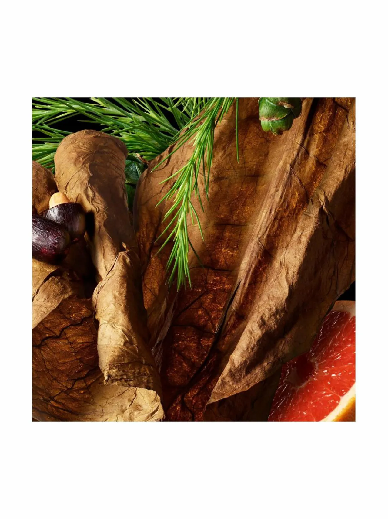 Naiset<Molton Brown Tobacco Absolute Body Wash -suihkugeeli 300 ml