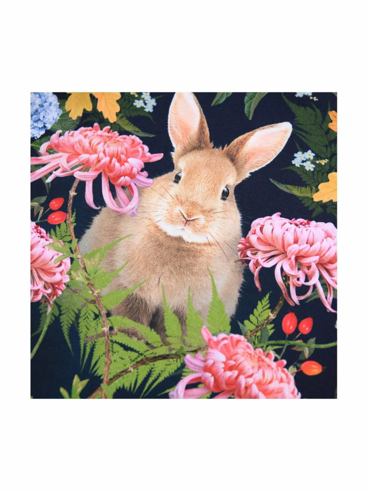 Pitkähihaiset Trikoopaidat|Pitkähihaiset Trikoopaidat<Molo Trikoopaita 4974 NOUVEAU RABBIT