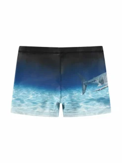 Uima-Asut<Molo Trunks 10 -uimahousut 3798 FADED SHARK