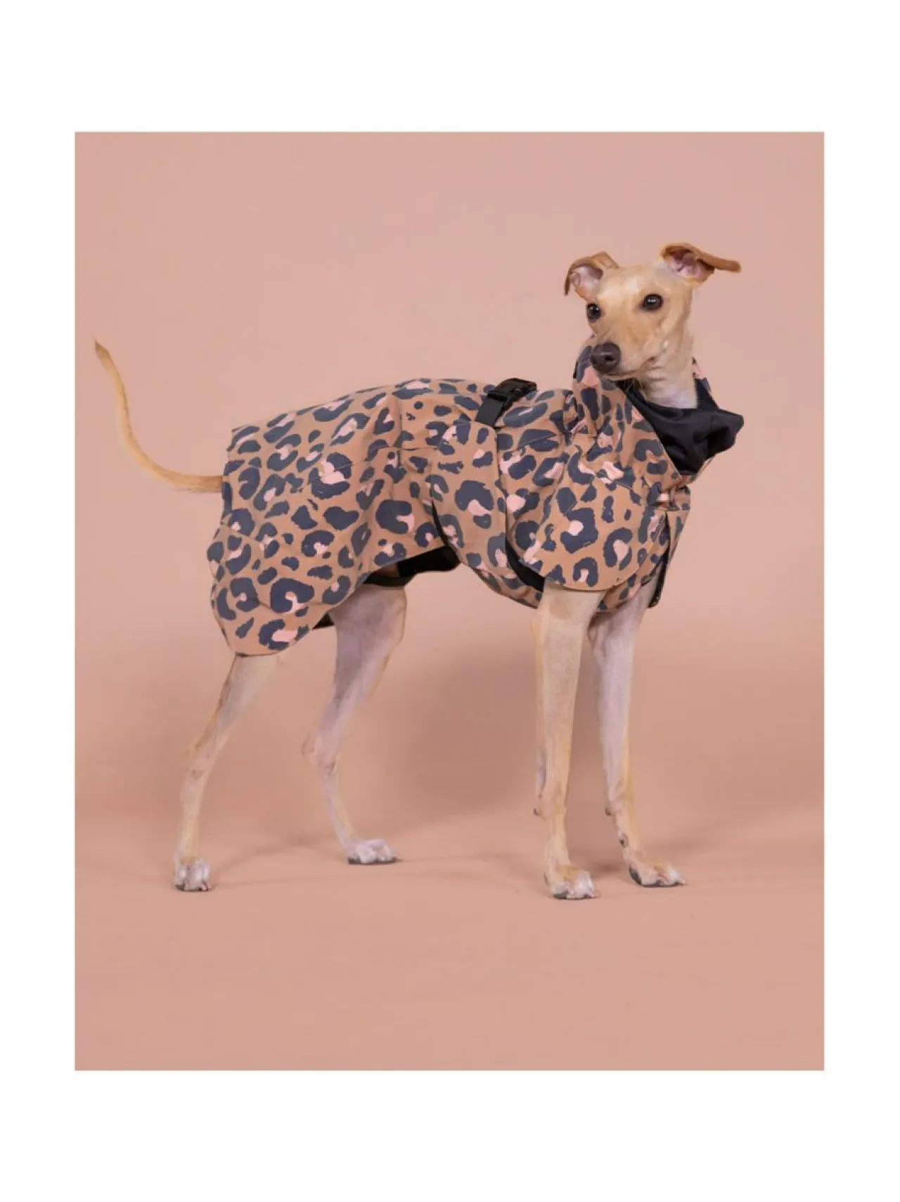 PAIKKA Visibility Raincoat Lite Leopard for Dogs^ Koiran Vaatteet